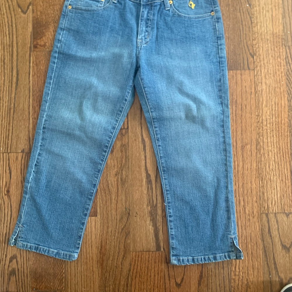 baby phat pants